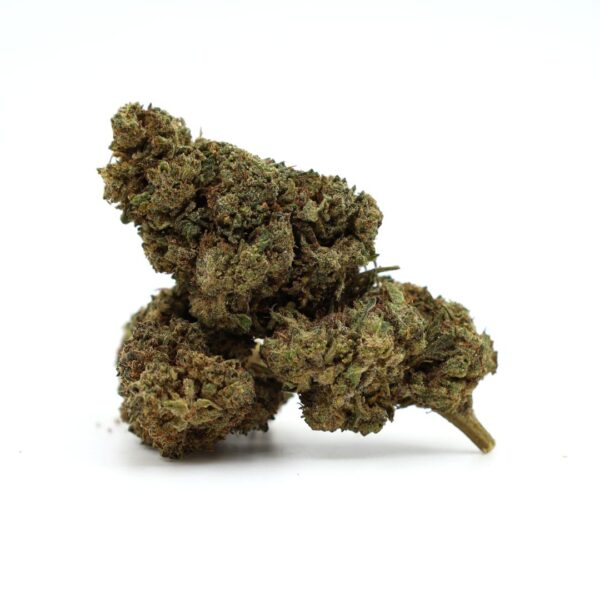 Ανθός Gorilla Cookies 50% Magic Sauce